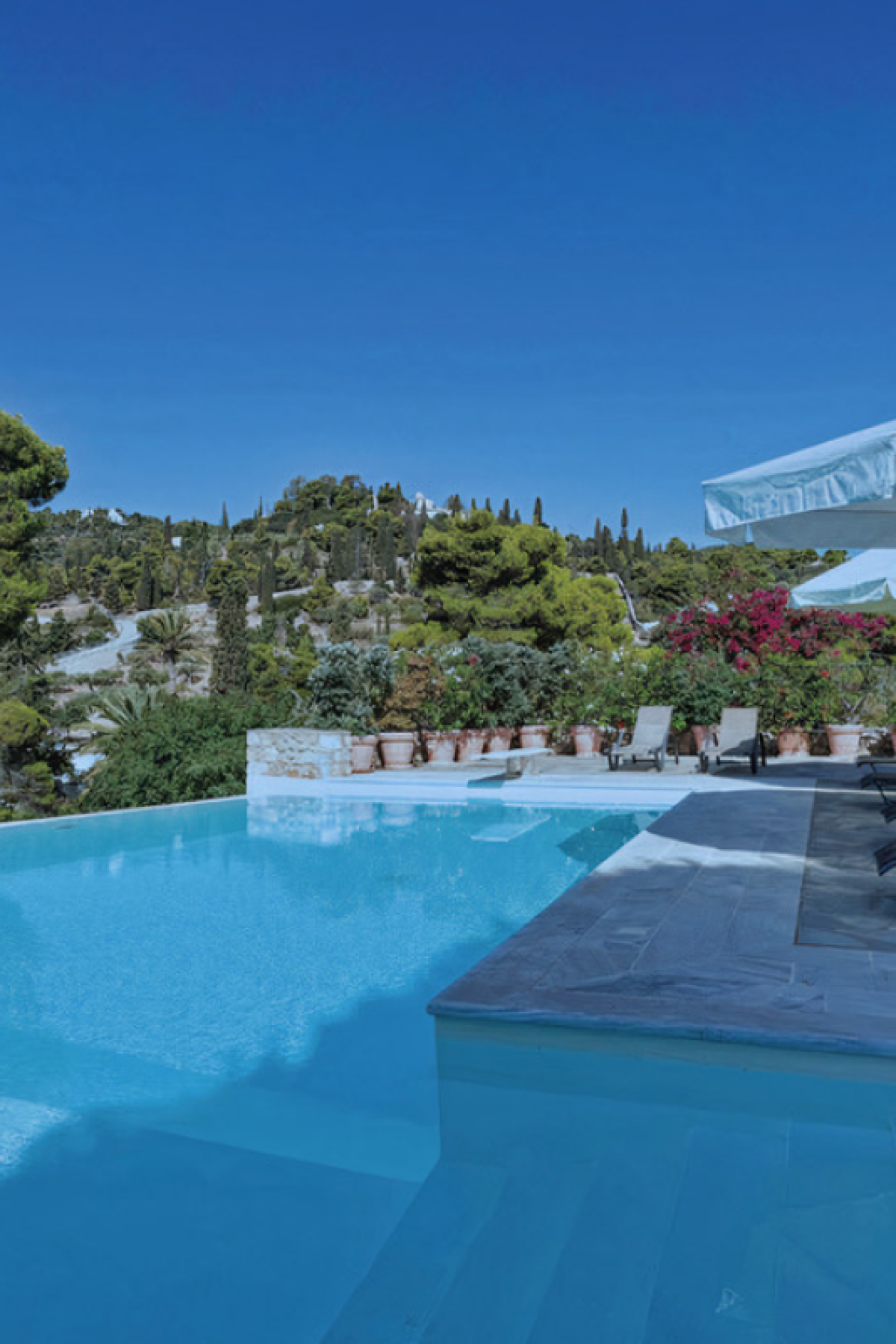 6088383a4eba7104a3aad8e0_Pine-Estate-Pool