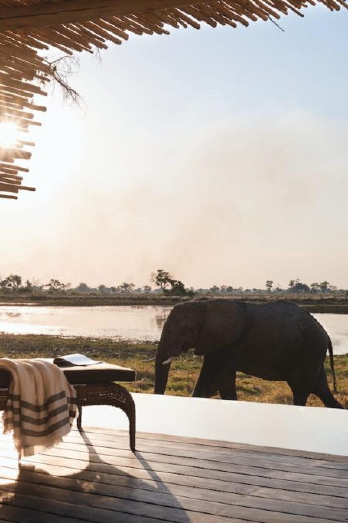 Belmond Safaris, Eagle Island Lodge, Okavango, Botswana.