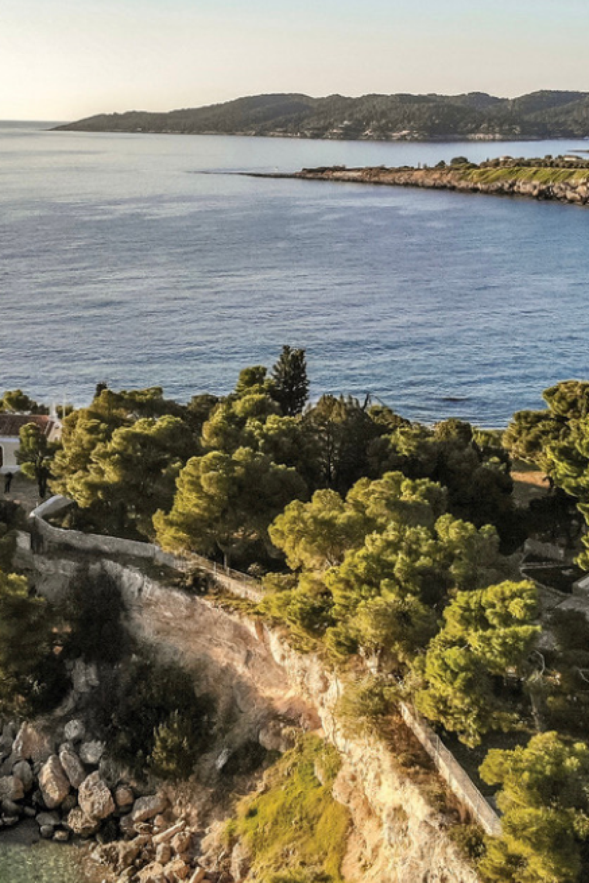 6088383a4eba71268faad8dd__Pine-Estate-Header-Image