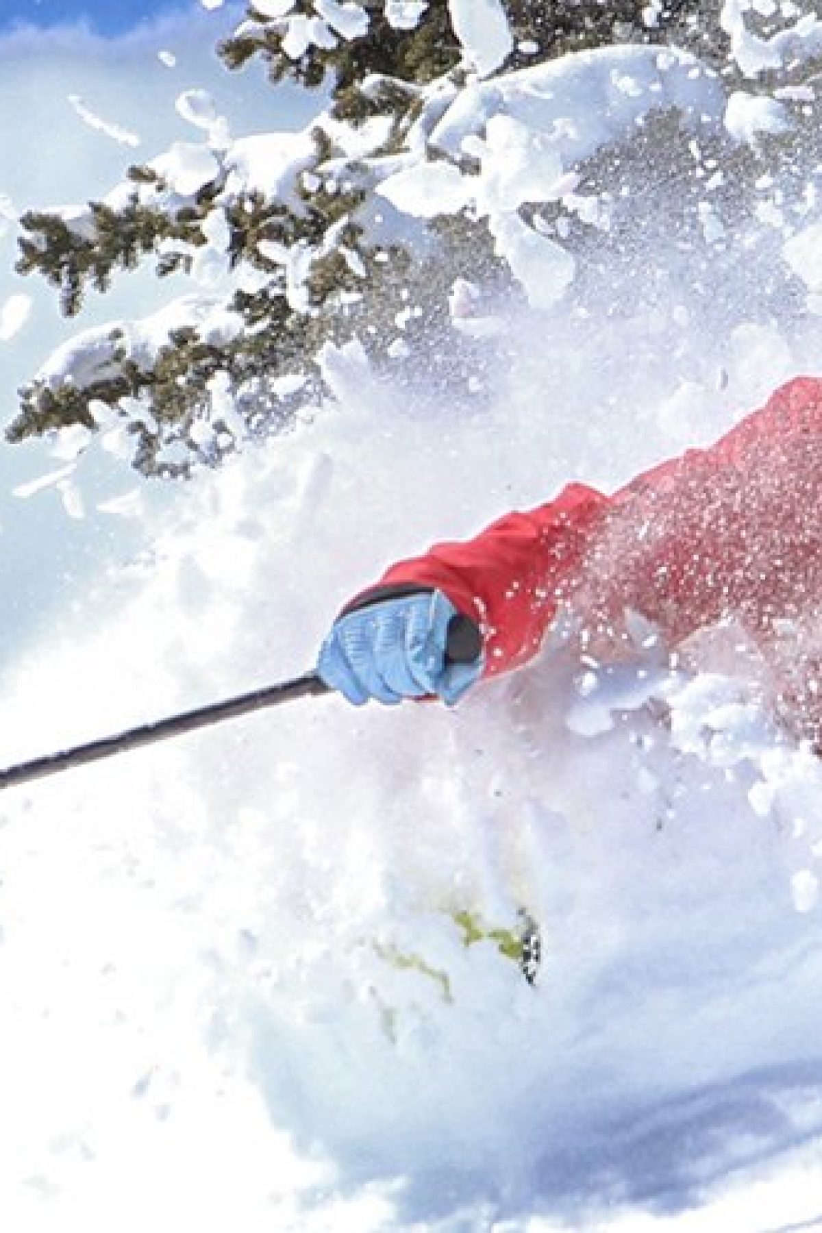 6088383a4eba713b76aad719_alpine-header