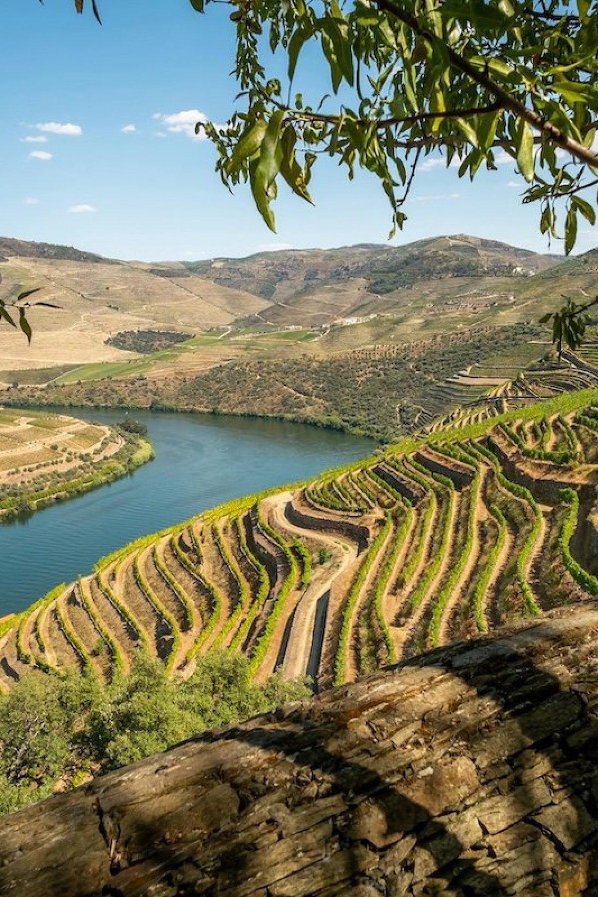 66848940968f256770527fc7_DOURO