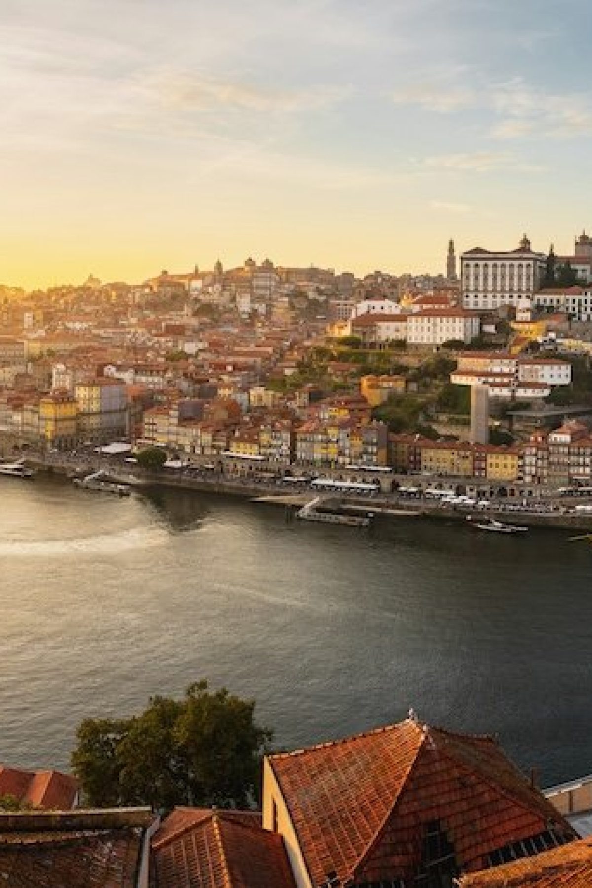 6684897d2061315f560de440_PORTO II