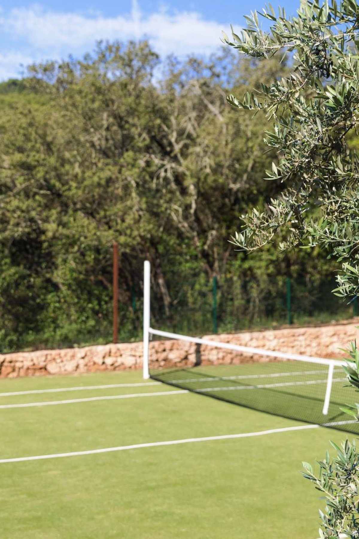67983c630dacda785213711c_Tennis1 @HervéFabre-p-1600