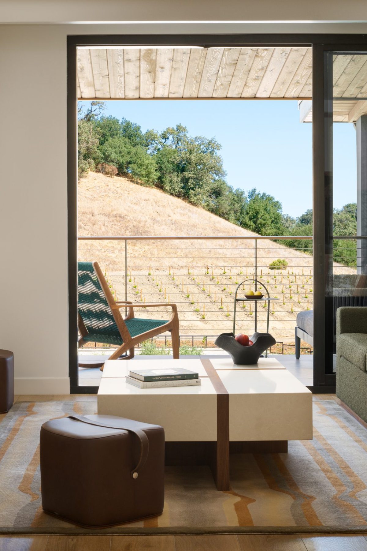 Appellation Healdsburg | ©Dylan Patrick