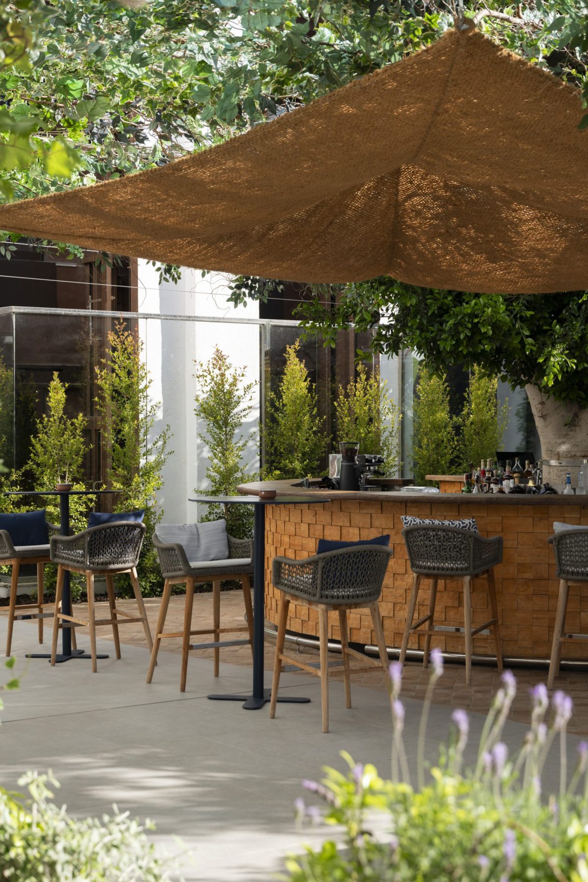 Bar de Lola