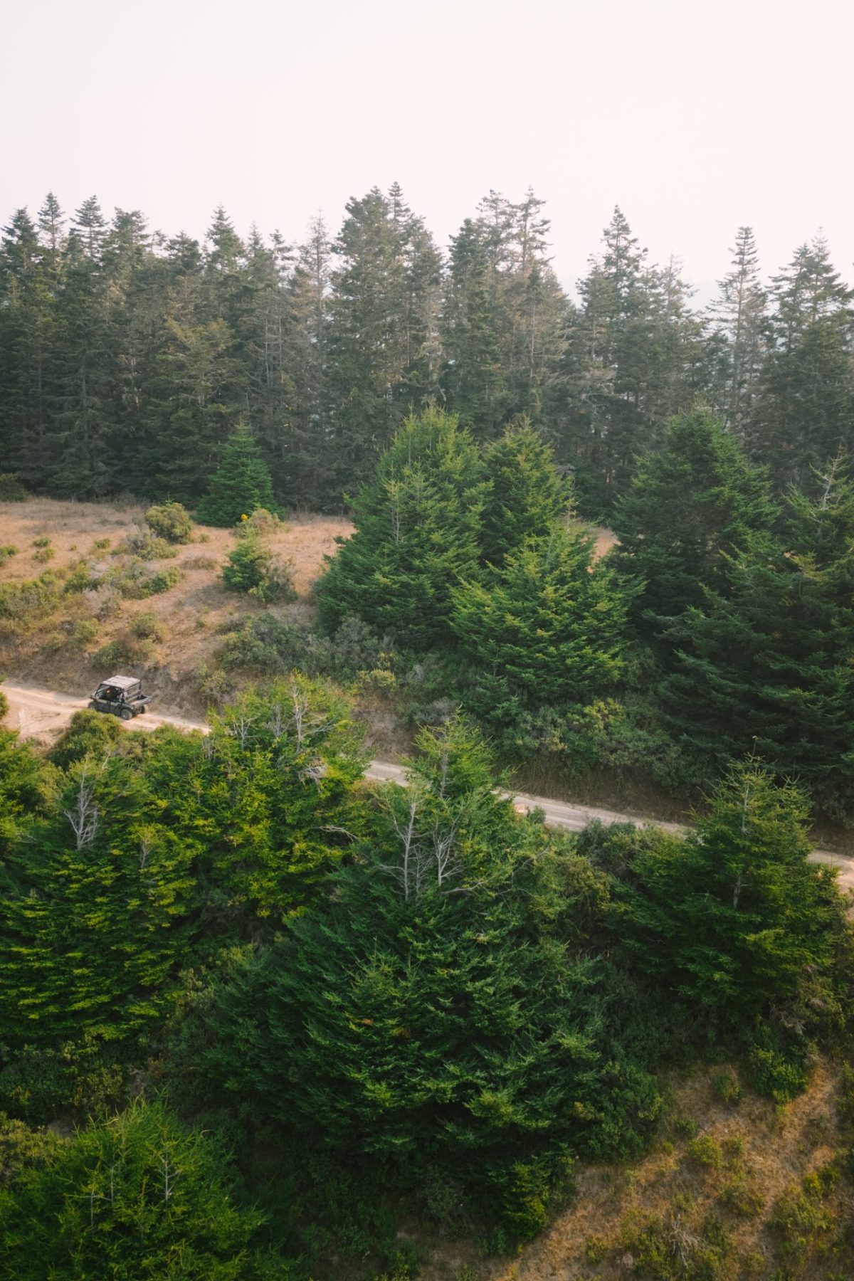 INR-September2023-11