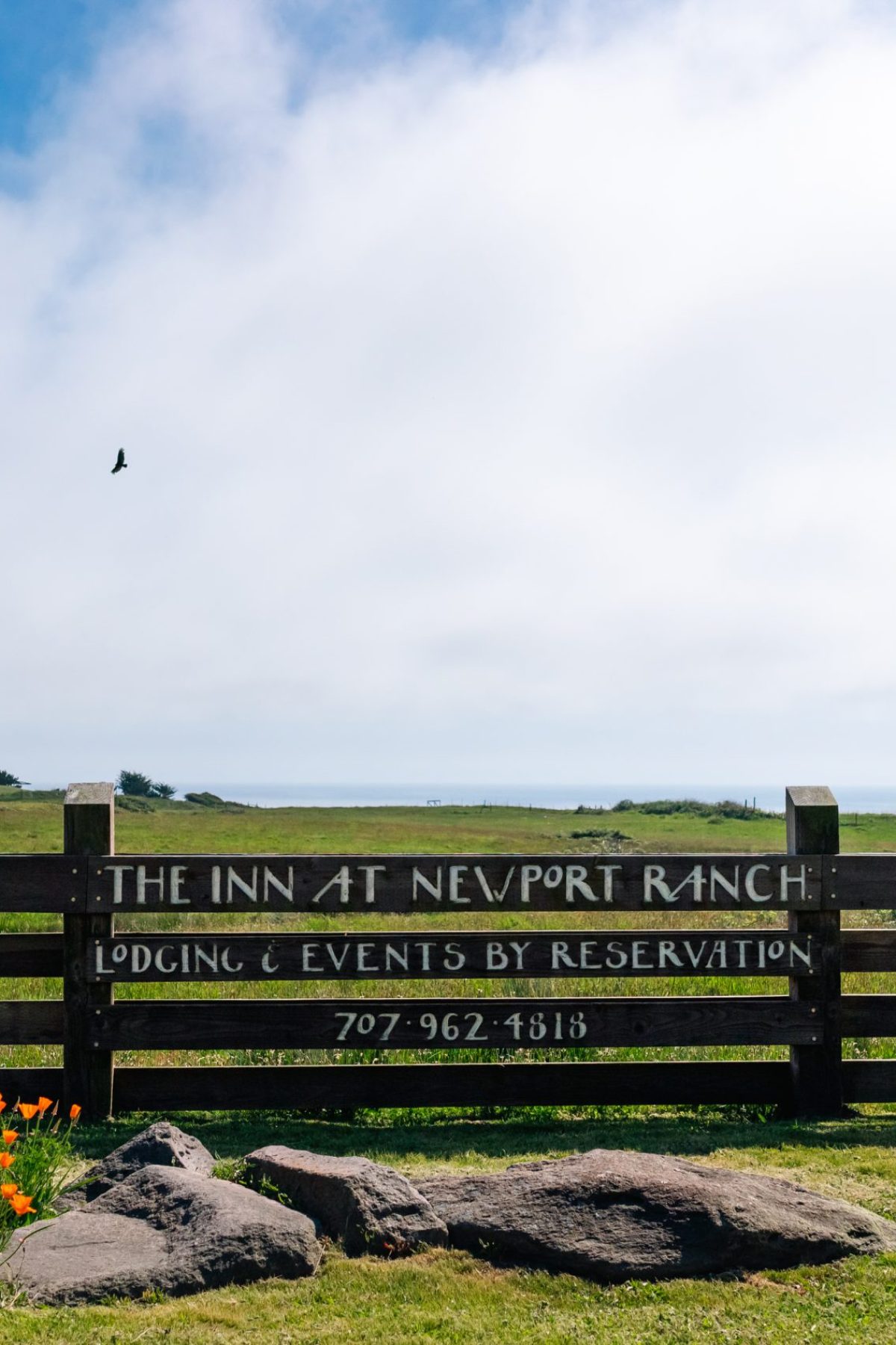 INR_SPRING_2023_NIKZPHOTO-53 (1)