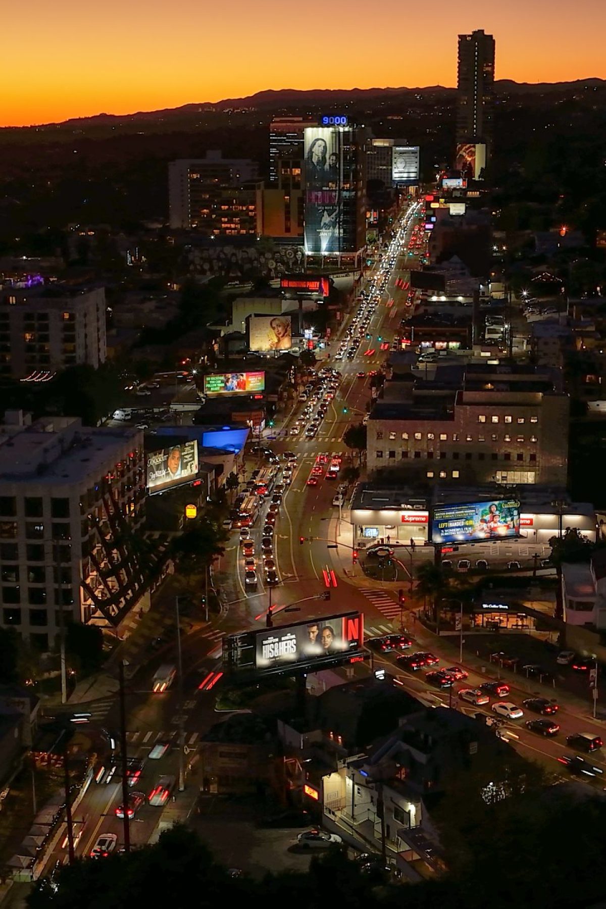 SUNSET_BLVD_NIGHT_03