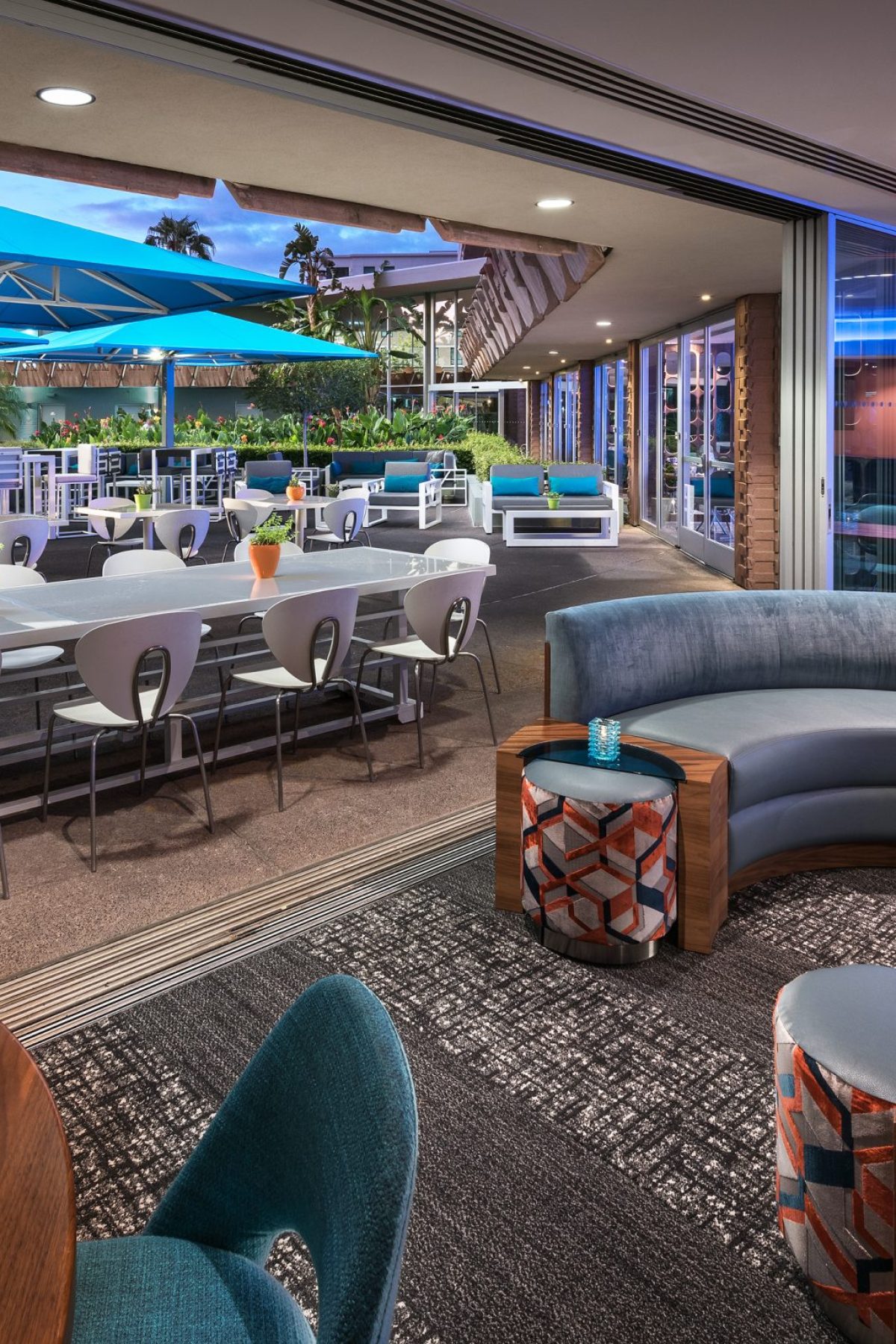 ZuZu - Rear Dining Area and Patio