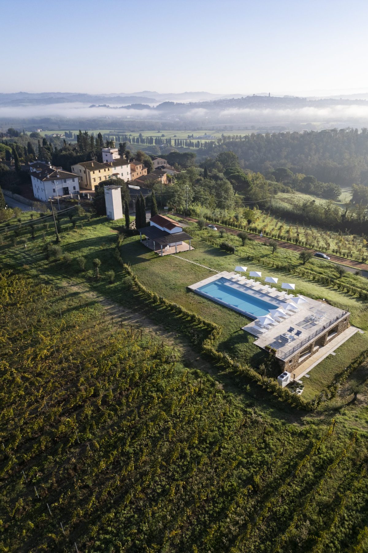 estero vineyard (11)